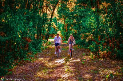 A harmonia com a natureza cada vez mais se faz necessária na vida do ser humano. No complexo turístico Thermas de Iraí, o turista encontrará um bosque de aproximadamente cinco mil metros de extensão e dois de largura, propício para trilhas, caminhadas, ca